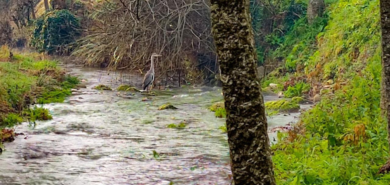 Holiday home River House - Casas Do Rio Tora Arcos de Valdevez